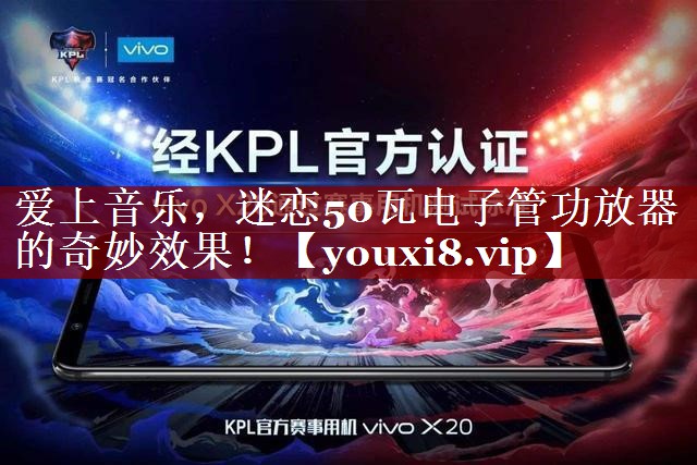 爱上音乐,迷恋50瓦电子管功放器的奇妙效果! 爱上音乐,迷恋50瓦电子管功放器的奇妙效果!