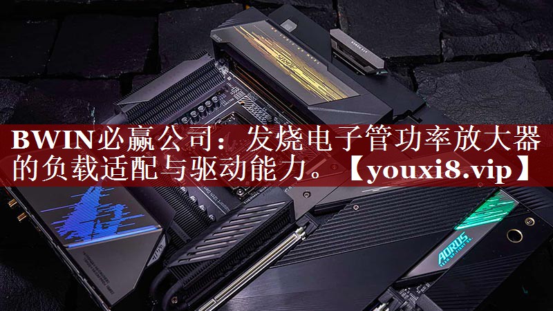BWIN必赢公司:发烧电子管功率放大器的负载适配与驱动能力。 BWIN必赢公司:发烧电子管功率放大器的负载适配与驱动能力。