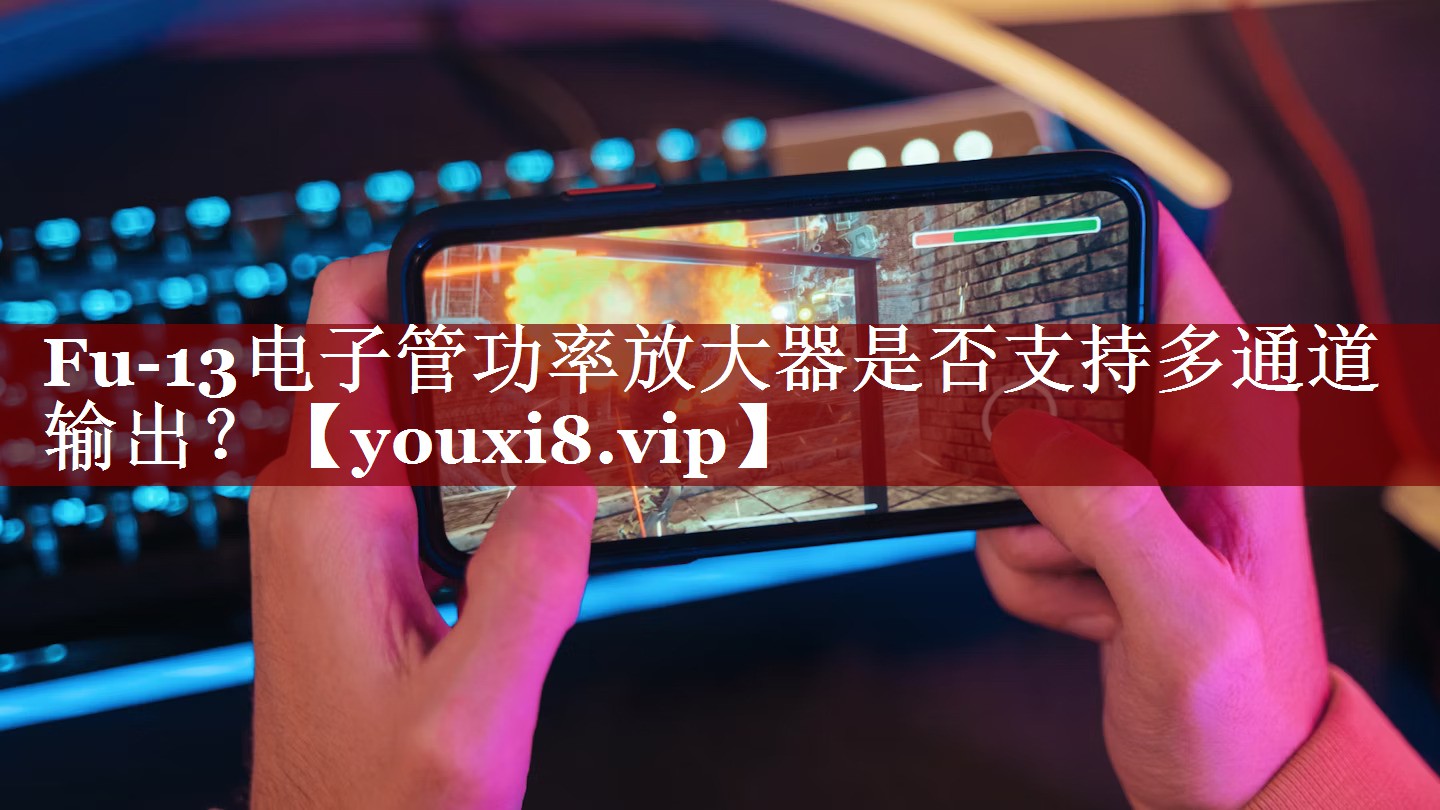 Fu-13电子管功率放大器是否支持多通道输出? Fu-13电子管功率放大器是否支持多通道输出?