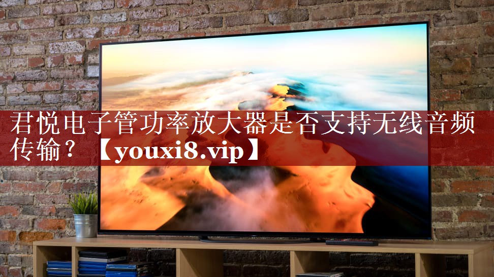 君悦电子管功率放大器是否支持无线音频传输? 君悦电子管功率放大器是否支持无线音频传输?