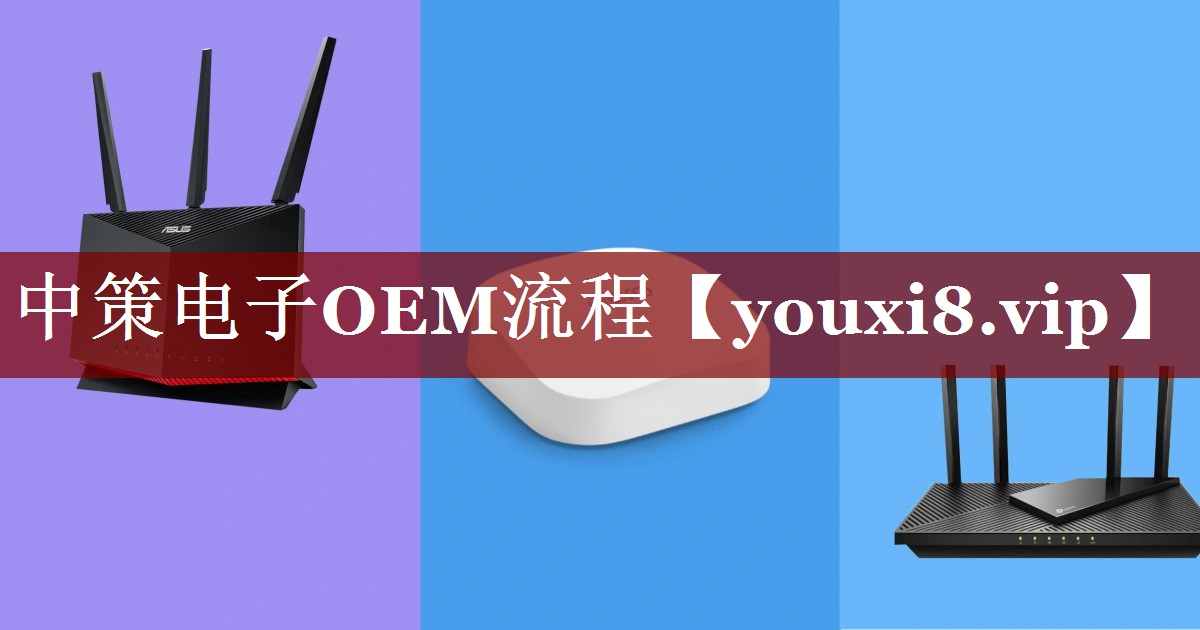 中策电子OEM流程 中策电子OEM流程