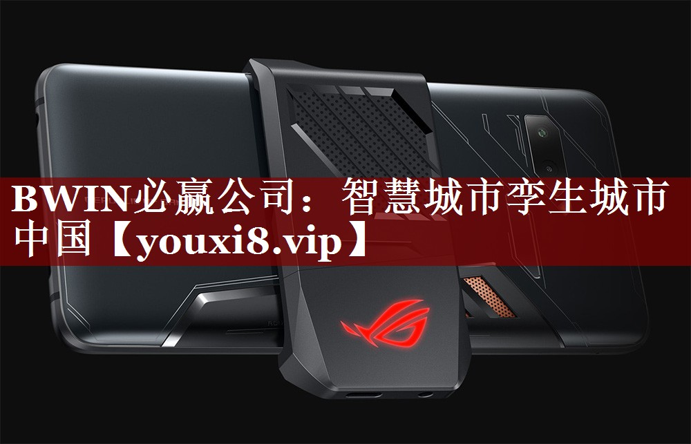 智慧城市孪生城市 中国 智慧城市孪生城市 中国