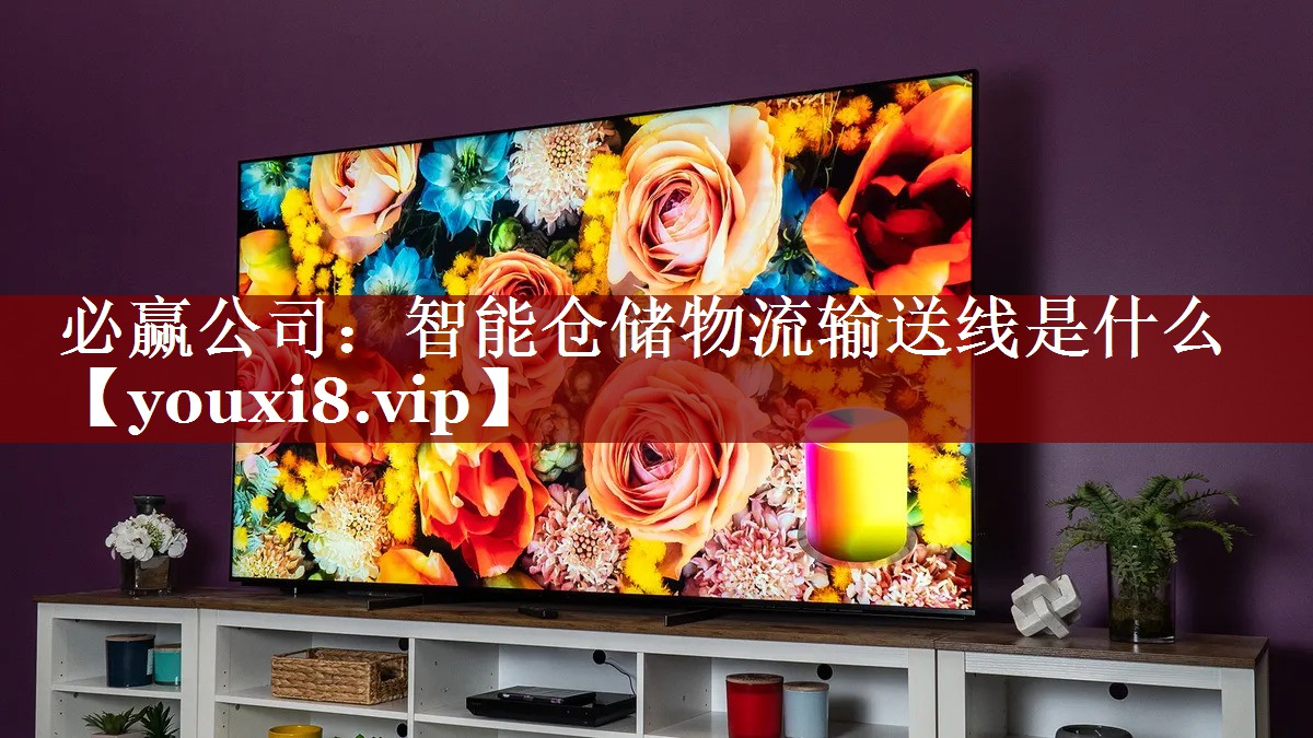 智能仓储物流输送线是什么 智能仓储物流输送线是什么