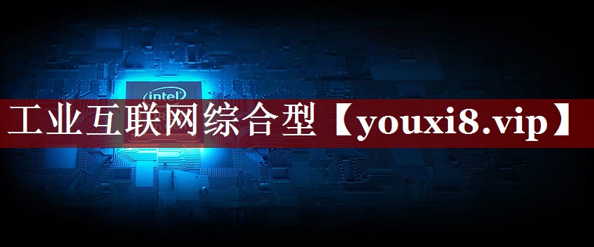 工业互联网综合型 工业互联网综合型
