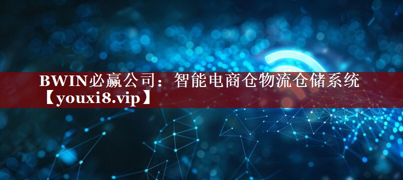 智能电商仓物流仓储系统 智能电商仓物流仓储系统