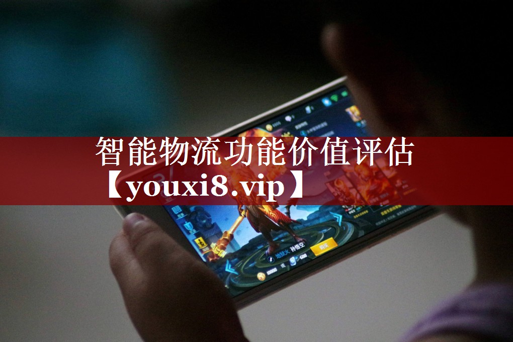 智能物流功能价值评估 智能物流功能价值评估