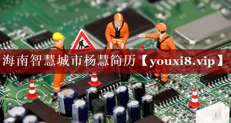 海南智慧城市杨慧简历 海南智慧城市杨慧简历