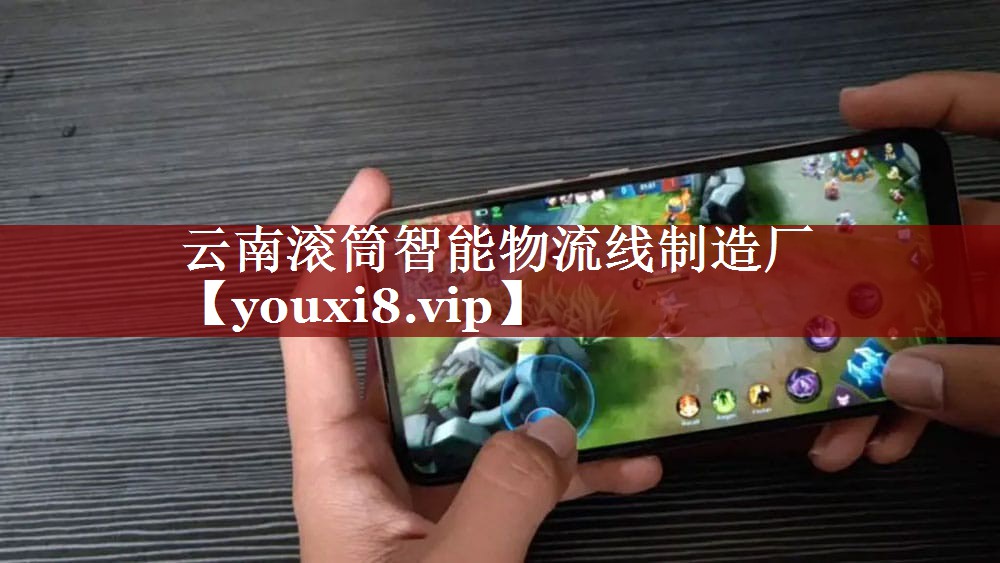 云南滚筒智能物流线制造厂 云南滚筒智能物流线制造厂