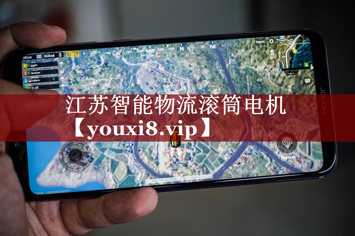 江苏智能物流滚筒电机 江苏智能物流滚筒电机