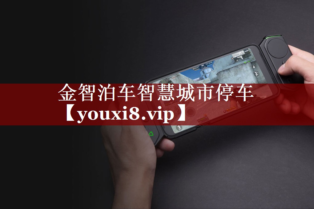 金智泊车智慧城市停车 金智泊车智慧城市停车