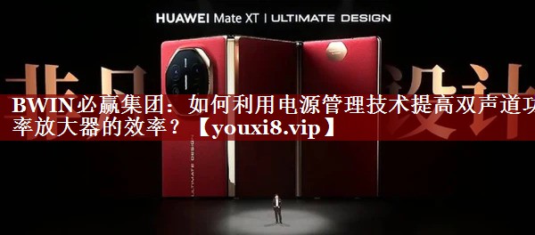 如何利用电源管理技术提高双声道功率放大器的效率? 如何利用电源管理技术提高双声道功率放大器的效率?