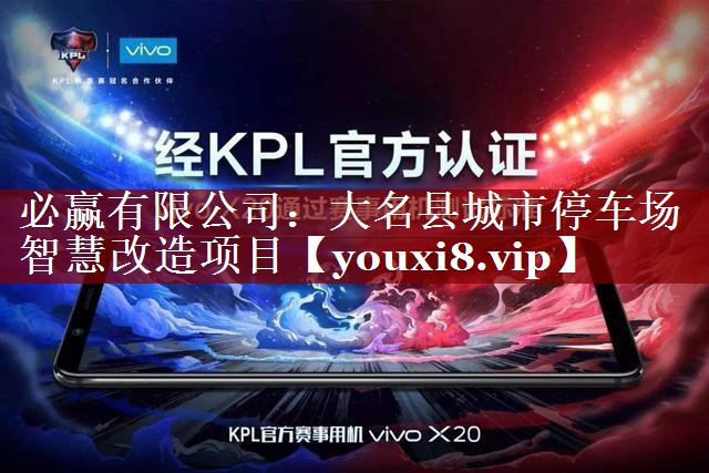 大名县城市停车场智慧改造项目 大名县城市停车场智慧改造项目