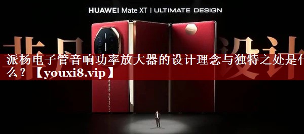派杨电子管音响功率放大器的设计理念与独特之处是什么？