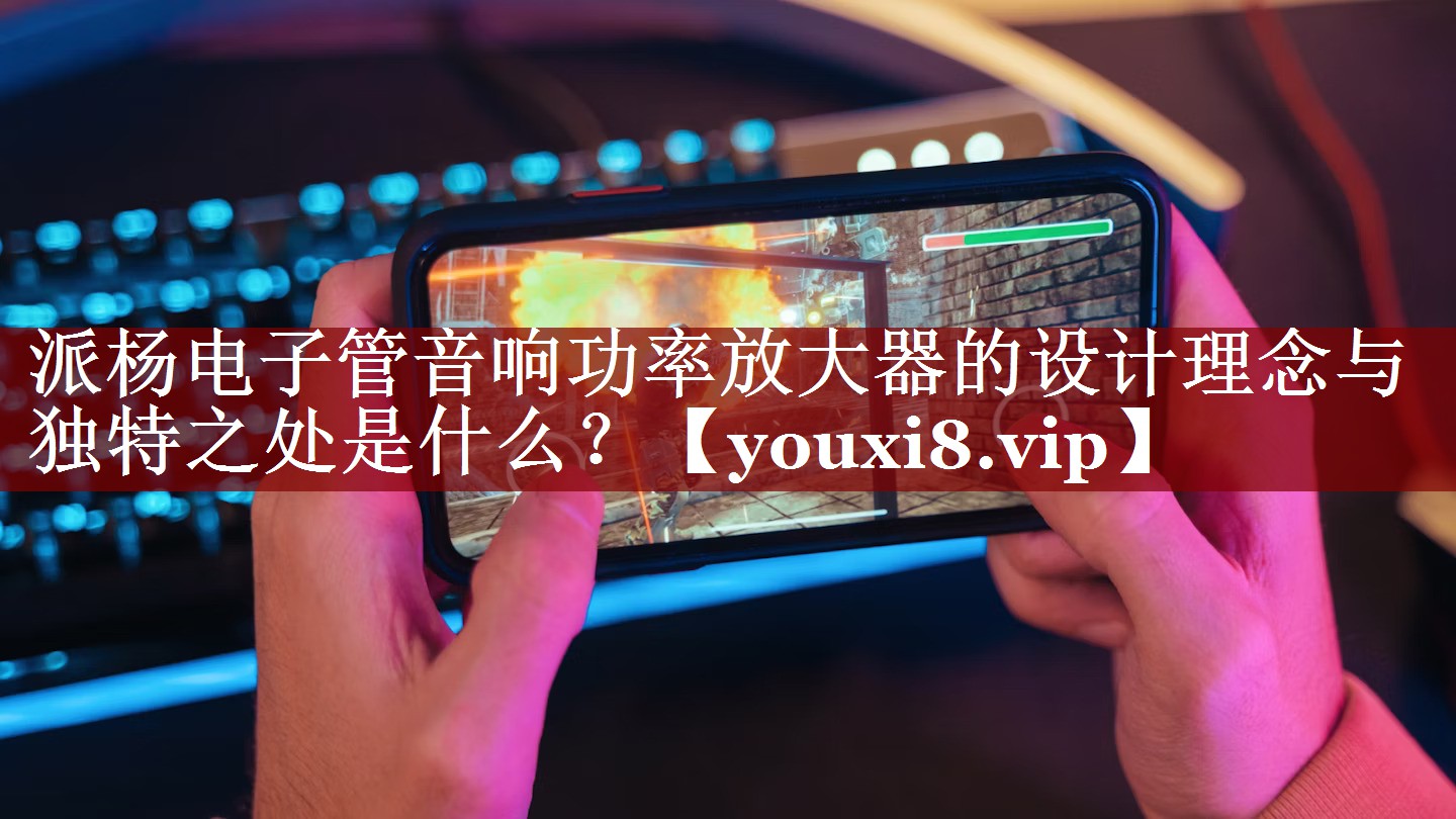 派杨电子管音响功率放大器的设计理念与独特之处是什么？