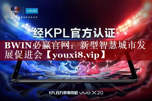 新型智慧城市发展促进会 新型智慧城市发展促进会